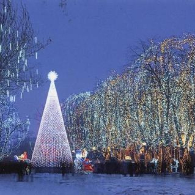 Какими будут новогодние елки в парках Днепра. Новости Днепра