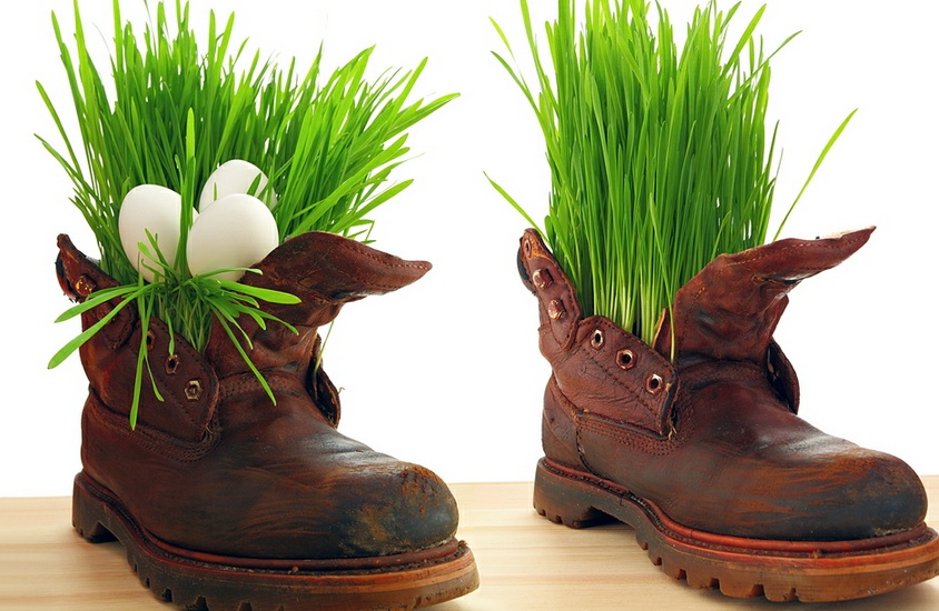 eco-army-boots-grass-eggs