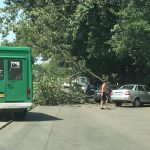 В Днепре упавшее дерево преградило дорогу: фото. Новости Днепра