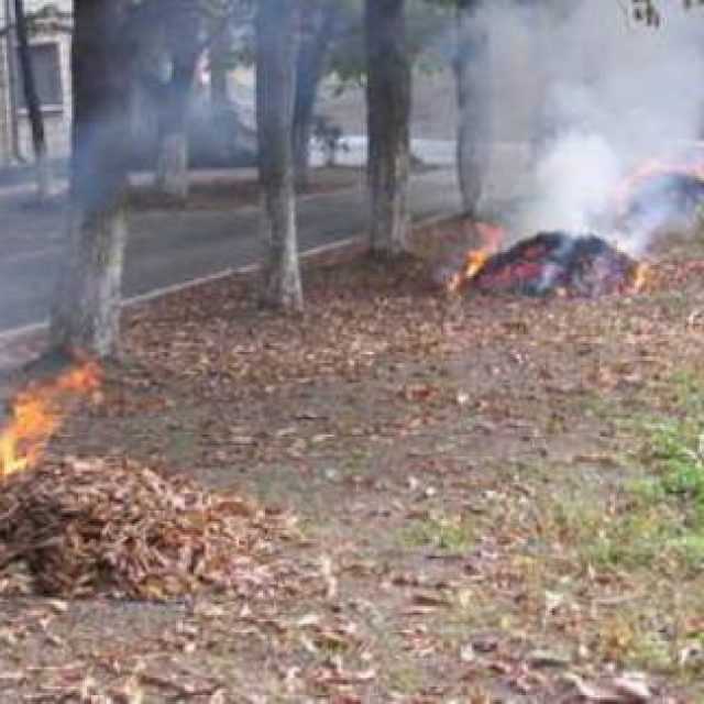 В Днепре будут штрафовать за сжигание листьев. Новости Днепра