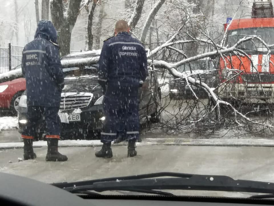 В Днепре из-за непогоды дерево рухнуло на авто. Новости Днепра