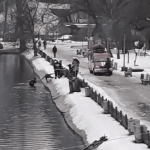 В Днепре мужчина спас из ледяной воды собаку: видео