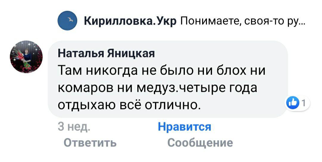 В Кирилловке отрицают нашествие медуз. Новости Днепра