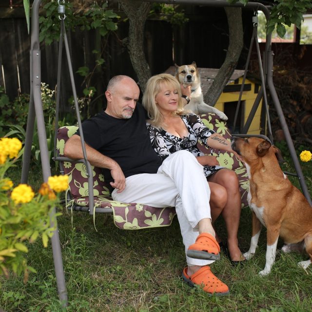 В Украине собаки стали героями реалити-сериала. Новости Днепра