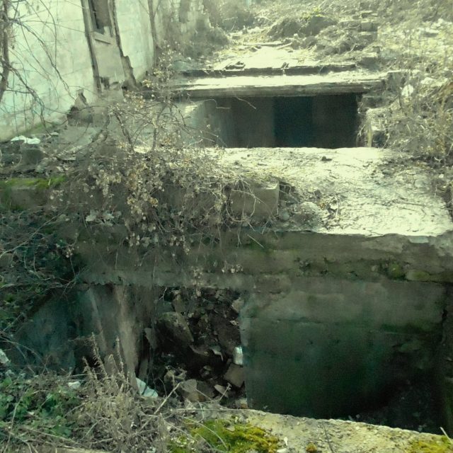 Под заброшенным домом случайно нашли бункер. Новости Днепра