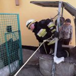 Спасатели помогли котенку 8 марта. Новости Днепра