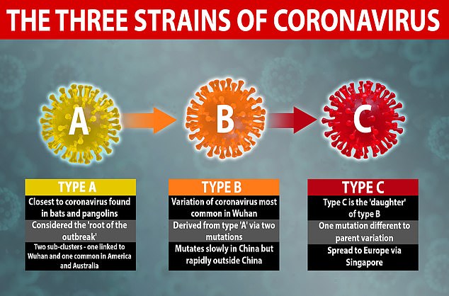 Коронавирус мутирует | Обнаружены три типа COVID-19