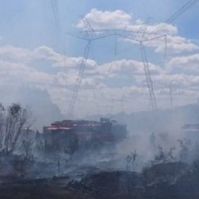 Как пожар в Чернобыле повлиял на экологию Днепра. Новости Днепра