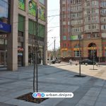 В Днепре на Екатеринославском бульваре посадили деревья