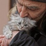 В Днепре одинокий дедушка заботится о десятках кошек