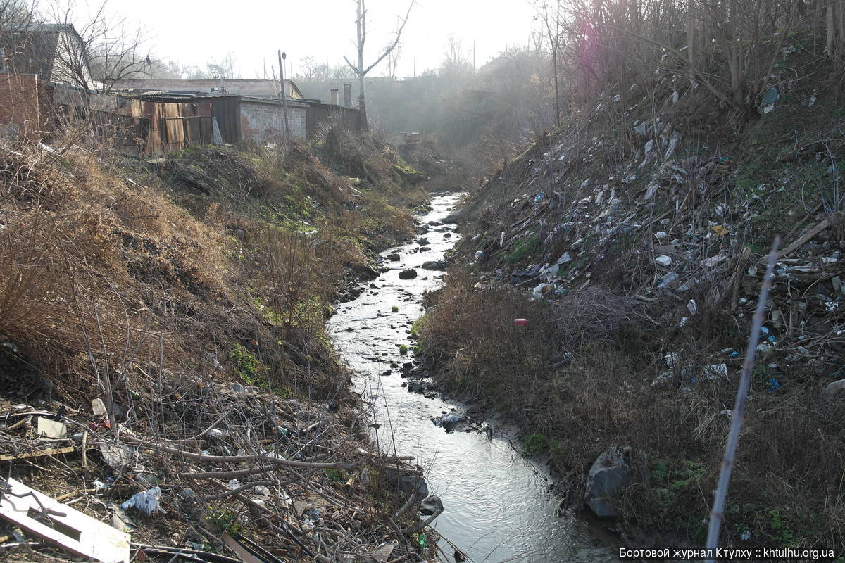 Кто проживает на дне реки Жабокряч в Днепре: фото