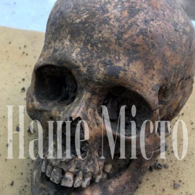 В Севастопольском парке нашли два скелета: фото, видео