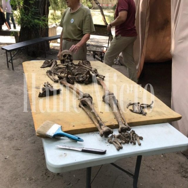 В Севастопольском парке нашли два скелета: фото, видео