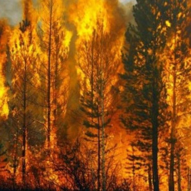 Объявлена ​​чрезвычайная пожарная опасность | Новости Днепра