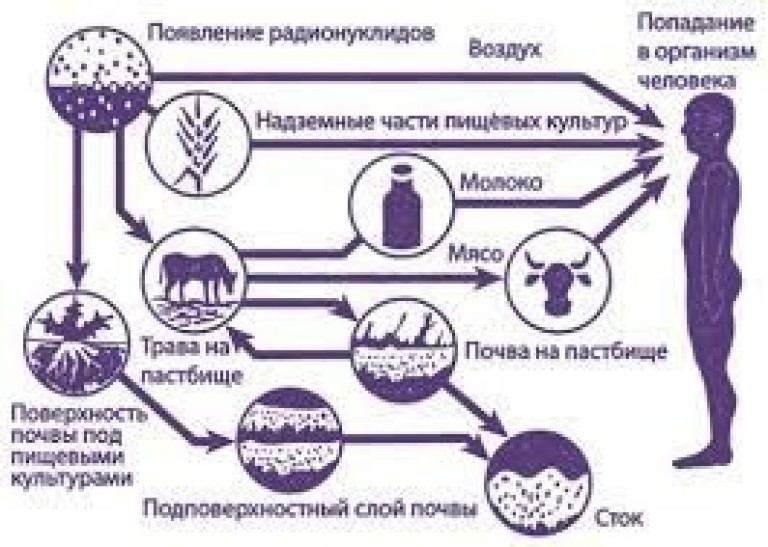 Пути попадания. Пути проникновения радионуклидов в организм человека. Пути попадания радионуклидов в организм человека. Пути поступления радиации в организм человека. Поступление радионуклидов в организм.