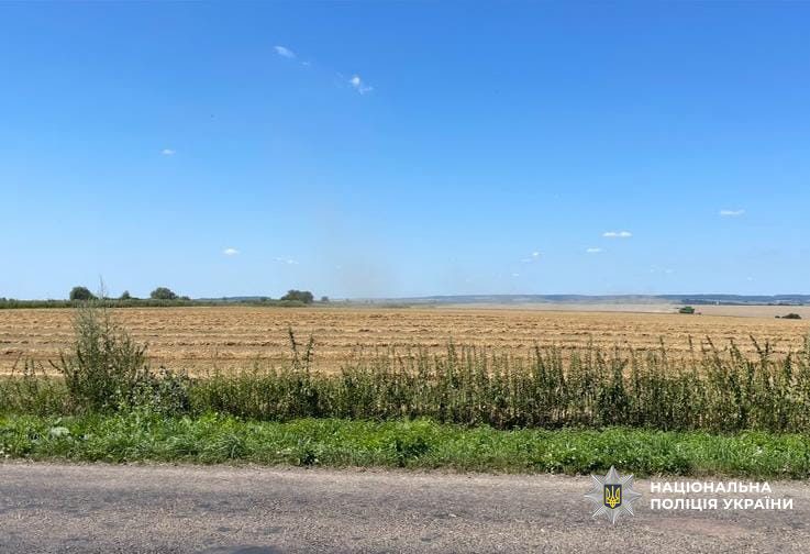 Зернова афера: керівника держпідприємства НААН викрили на продажі врожаю зі збитками на 13 мільйонів