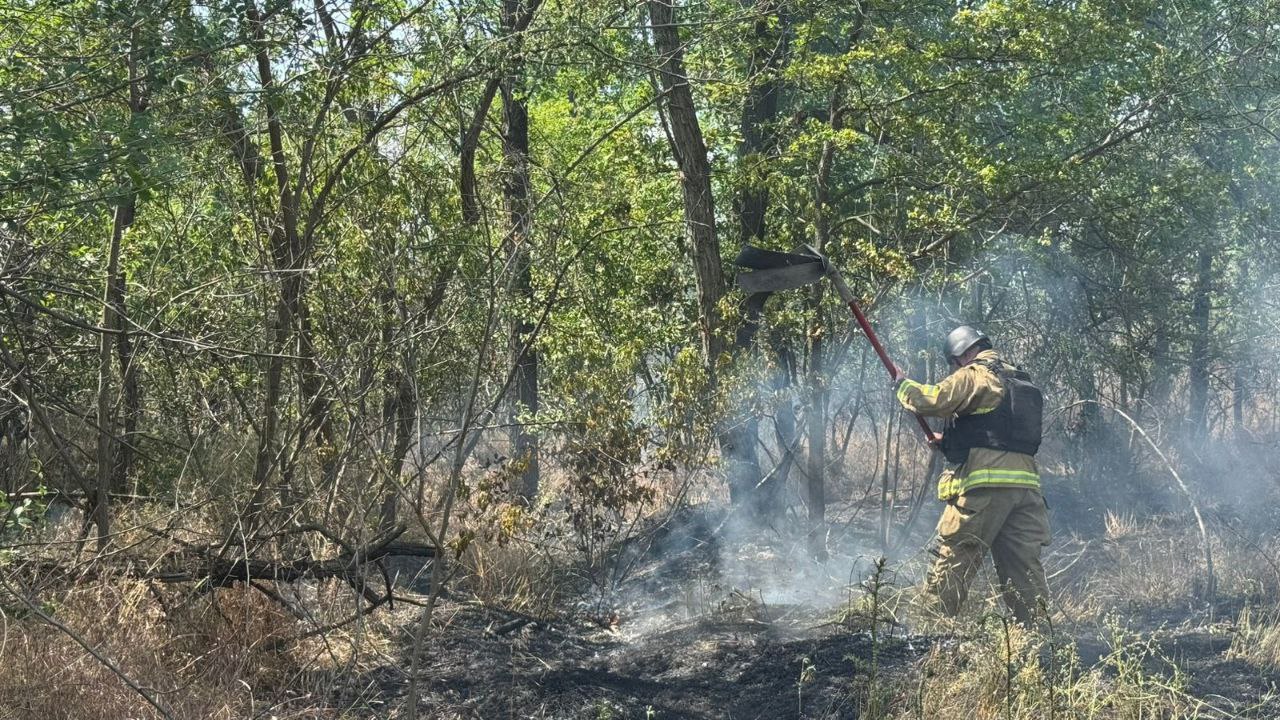 Окупанти вбили чоловіка на Нікопольщині