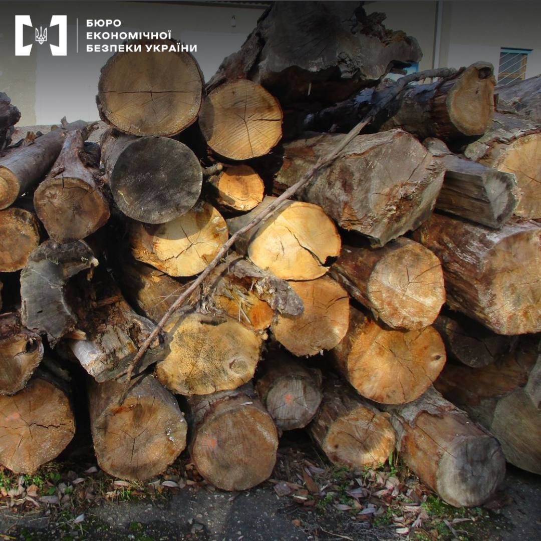 На Буковині викрили схему контрабанди забороненої деревини до ЄС