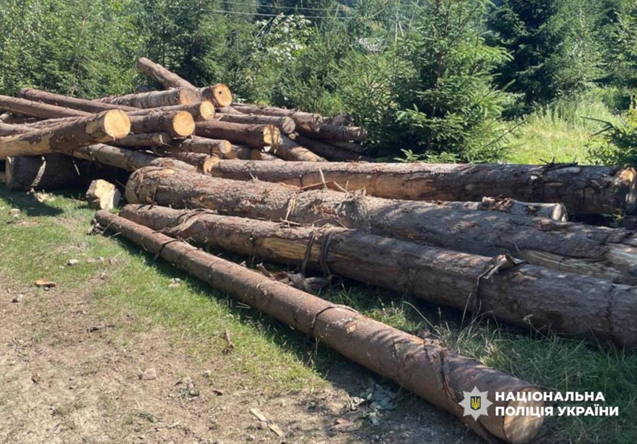 200 гектарів знищеного лісу: перед судом постануть посадовці, які організували вирубку в нацпарку “Гуцульщина”