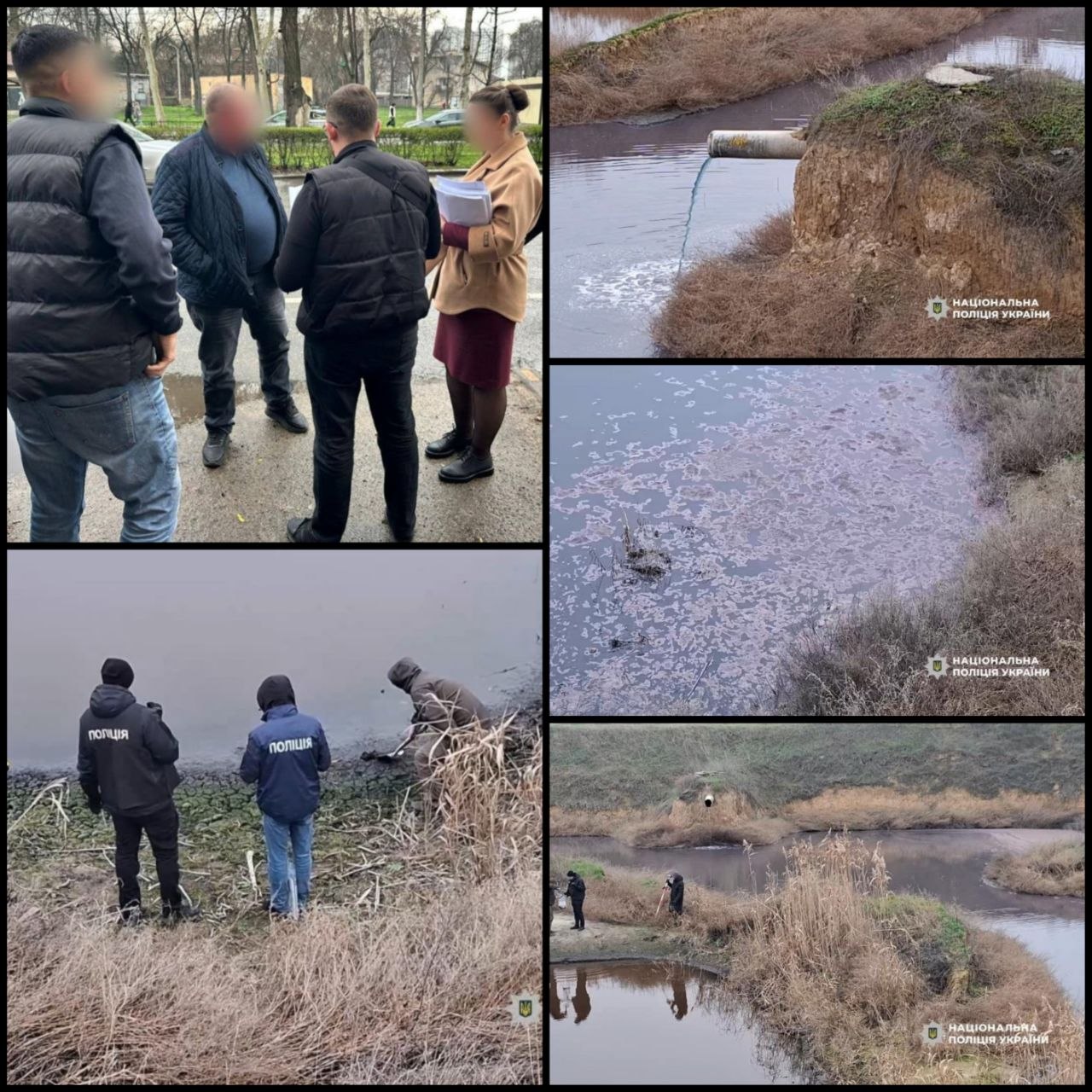 Директор виноробного заводу на Одещині забруднив землі стічними водами та відходами виробництва