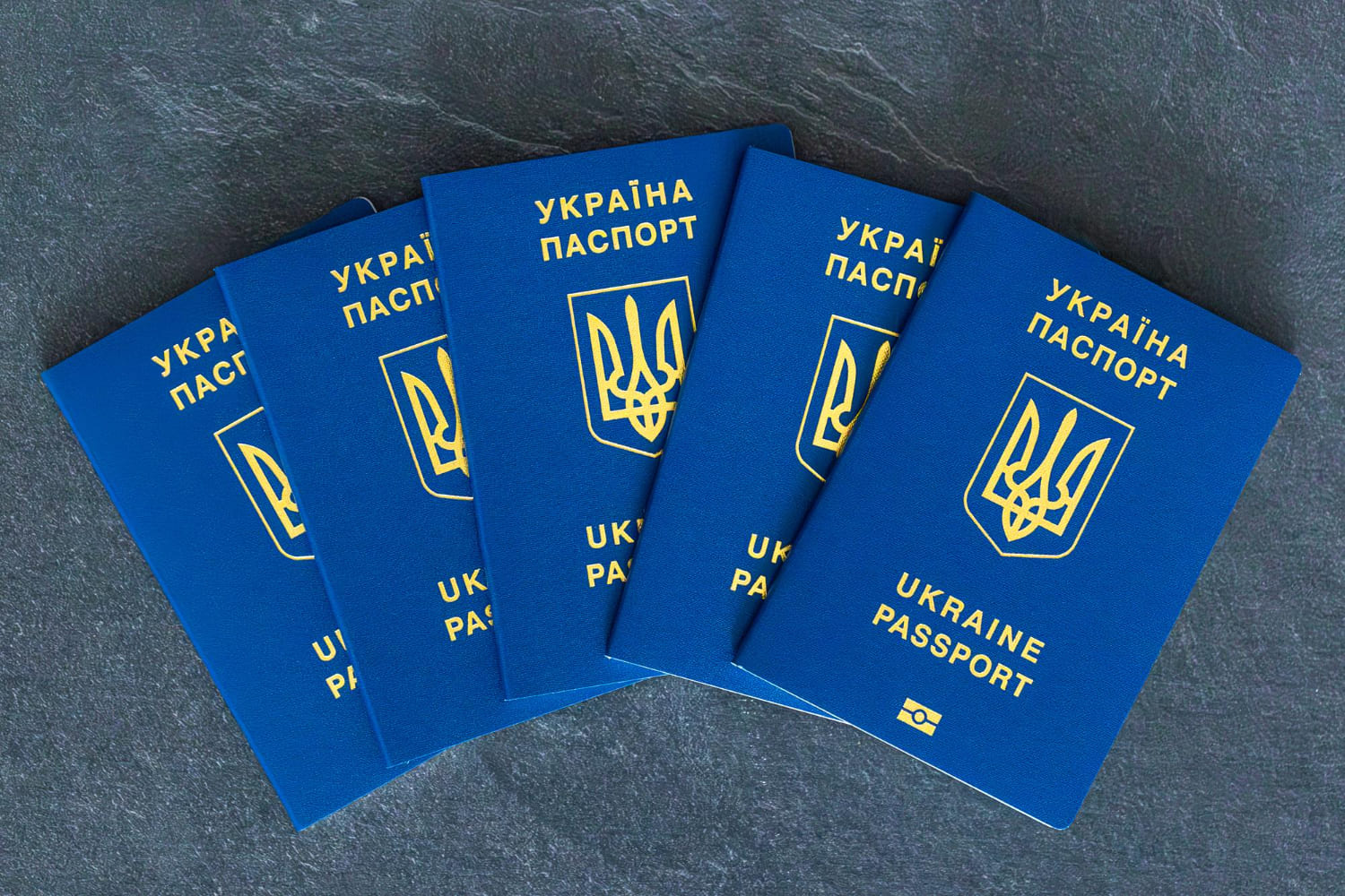 Чоловік у Дніпрі продавав підроблені ID-паспорти та водійські посвідчення через Instagram і Telegram