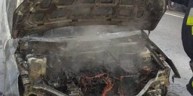 В Днепре дотла сгорело авто: фото