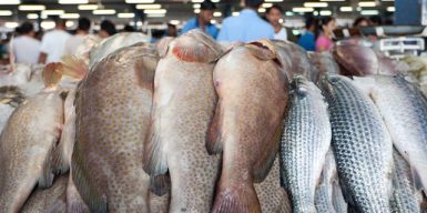 У Дніпрі перевірять ринки щодо продажу риби із областей, де заборонений вилов