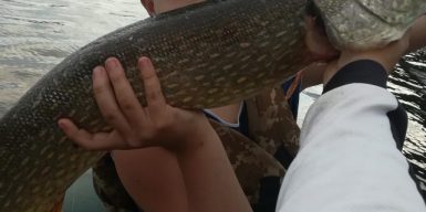 12-летний мальчик из Днепра словил 5 килограммовую рыбу: фото