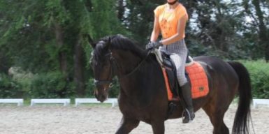 Днепровской конной школе подарили 7 лошадей, но они таинственно исчезли