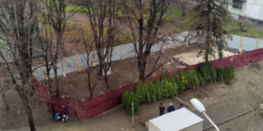 Жители Днепра выступили против вырубки деревьев в сквере Янгеля