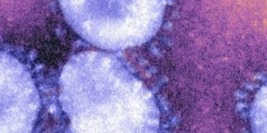 В Европе распространяется новый коронавирус