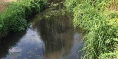 Экологическое бедствие: днепряне просят чиновников спасти канал реки от мусора