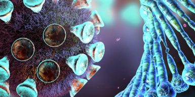 В Германии выявили очередную мутацию коронавируса
