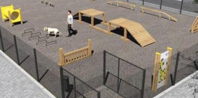 В Днепре на Левобережном-3 появится площадка для выгула собак: фото