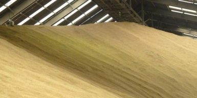В ЄС озвучили, скільки може діяти обмеження на імпорт зерна з України
