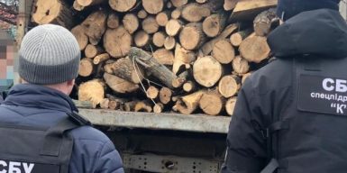 СБУ на Днепропетровщине накрыла схему незаконной вырубки леса: фото