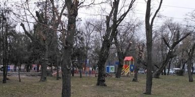 В Днепре изуродовали Молодежный парк: фото