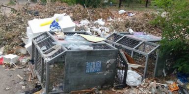 В садик с крысами: проспект Калнышевского утопает в мусоре (ФОТО)