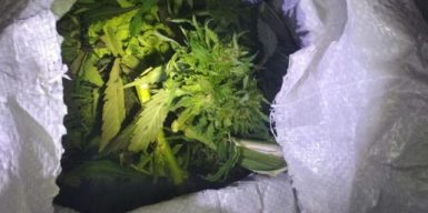 В подвале жилого дома в Днепре нашли 6 мешков марихуаны
