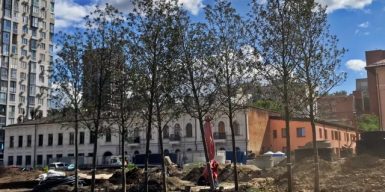 В Днепре на Успенской начали высаживать первые деревья: фото
