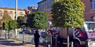 В Днепре на Троицкой коммунальщики стригли квадратные деревья: фото