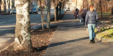 В Днепре на Владимира Великого обновили тротуар: фото