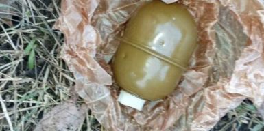 У сміттєвому баку у Дніпрі знайшли гранати та міни