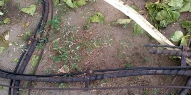 Кабель канатной дороги украли прямо с огорода днепровского журналиста: фото