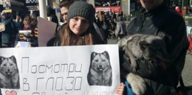 “Снимай мех – спасай животных”: в центре Днепра протестовали зоозащитники (фото)