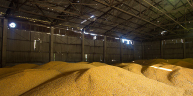 На Волині судитимуть посадовця державної зернової корпорації за розтрату понад 400 тонн зерна