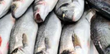 Підприємство з Кам’янського ввозило в Україну небезпечну рибну продукцію