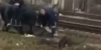 В Днепре на железнодорожном переезде нашли труп: видео