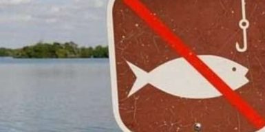 Нерестова заборона: де і коли на Дніпропетровщині не можна ловити рибу