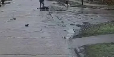 У Прилуках патрульні збили людей на пішохідному переході: загинула дитина